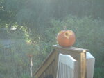 pic_04495.jpg