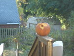 pic_04496.jpg