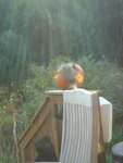 pic_04497.jpg