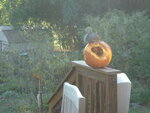 pic_04500.jpg
