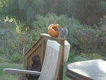 pic_04506.jpg