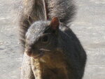 pic_04523.jpg