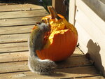 pic_04528.jpg