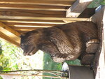 pic_04529.jpg