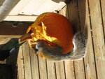 pic_04530.jpg