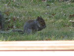 pic_04532.jpg