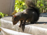 pic_04534.jpg
