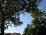 pic_04538.jpg