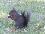 pic_04544.jpg