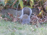 pic_04548.jpg