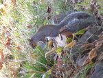 pic_04552.jpg