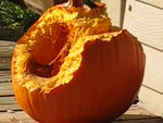 mov_pumpkin.mov