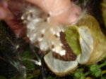 pic_04575.jpg