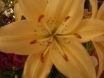 pic_04579.jpg