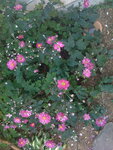 pic_04590.jpg