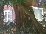 pic_04600.jpg