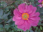 pic_04604.jpg
