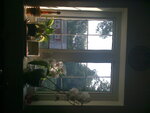 pic_04610.jpg