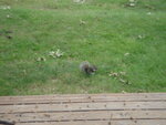 pic_04632.jpg