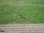 pic_04633.jpg