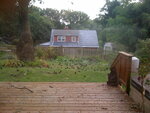 pic_04636.jpg