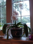 pic_04649.jpg