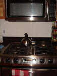 pic_04651.jpg