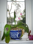pic_04652.jpg