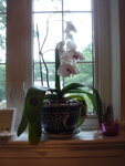 pic_04655.jpg