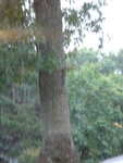 pic_04659.jpg