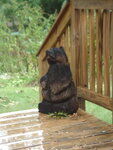 pic_04666.jpg