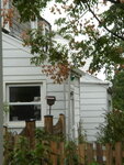 pic_04668.jpg