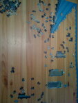 pic_04669.jpg