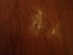 pic_04673.jpg