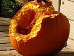 pic_04685.jpg