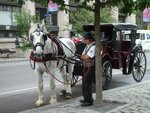 pic_04713.jpg