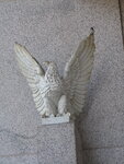 pic_04729.jpg
