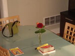 pic_04754.jpg