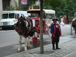 pic_04776.jpg