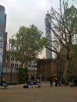 pic_12940.jpg