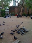 pic_12942.jpg