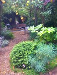 pic_12954.jpg