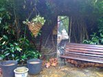 pic_12955.jpg