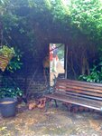 pic_12956.jpg