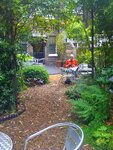 pic_12957.jpg