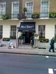 pic_12964.jpg