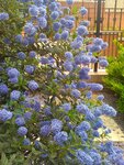 pic_12977.jpg