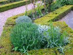 pic_13032.jpg