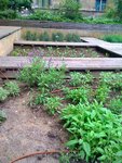 pic_13068.jpg