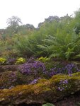 pic_13148.jpg